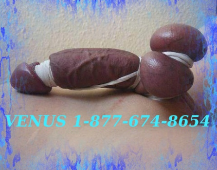 castration phone sex mutilate genitals