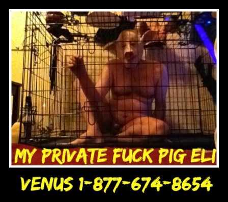 castration phone sex fuck pig