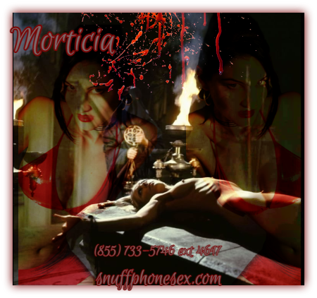 Accomplice phone sex